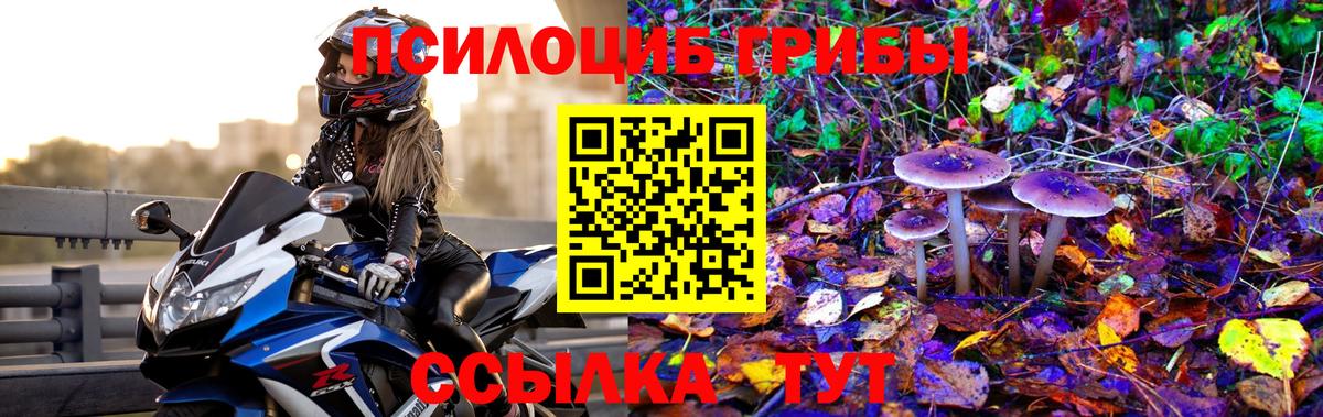Всеволожск  Псилоцибиновые грибы GOLDEN TEACHER  закладка  Вход с VPN 